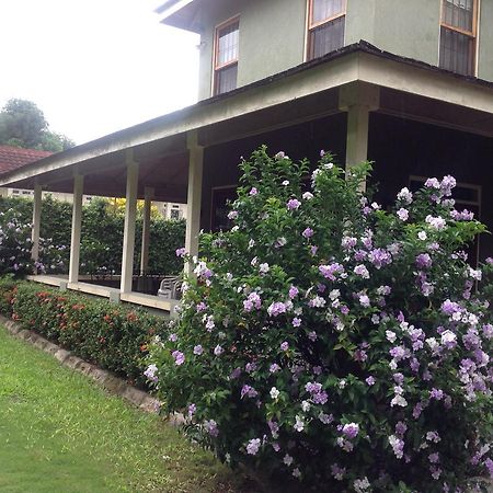 The Inn At 6 Kingston Exterior photo